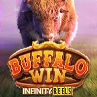 buffalo-win.webp-lapaktoto